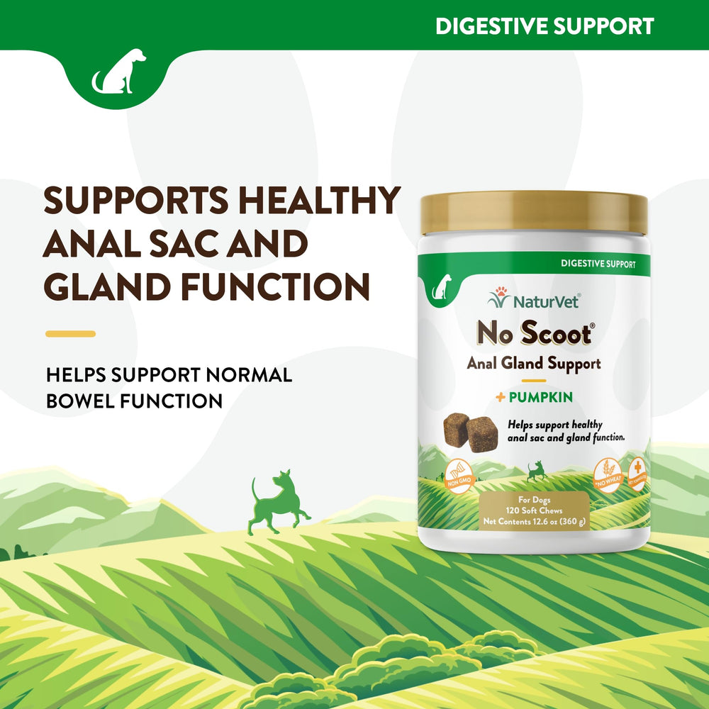 NaturVet No Scoot: pulpa de remolacha para fibra y digestión.