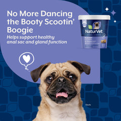 NaturVet No Scoot: pulpa de remolacha para fibra.