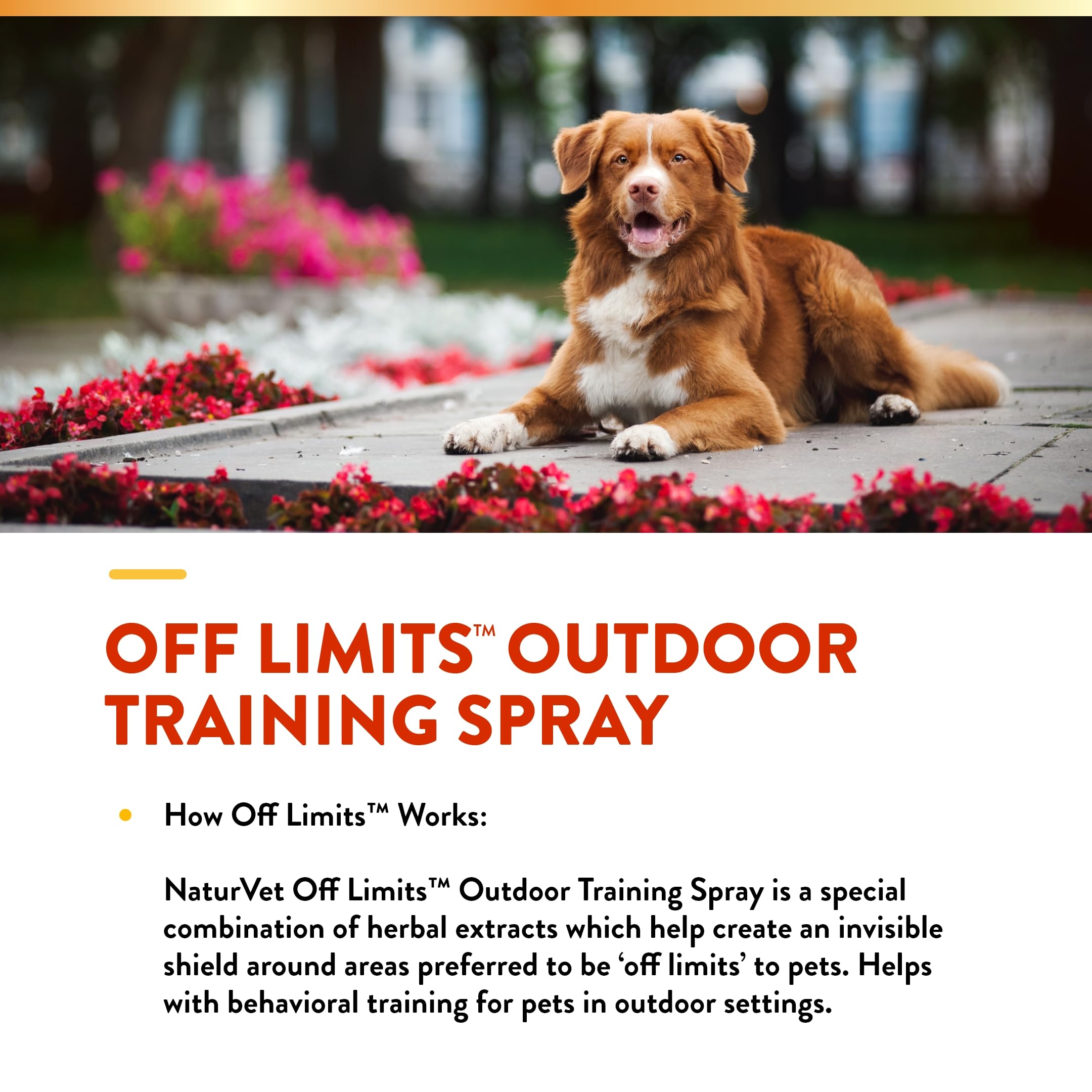 NaturVet Off Limits: uso en superficies lavables dentro de casa