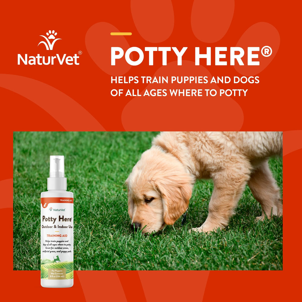 Rociador Potty Here de NaturVet para marcar zonas de entrenamiento.