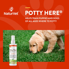Rociador Potty Here de NaturVet para marcar zonas de entrenamiento.