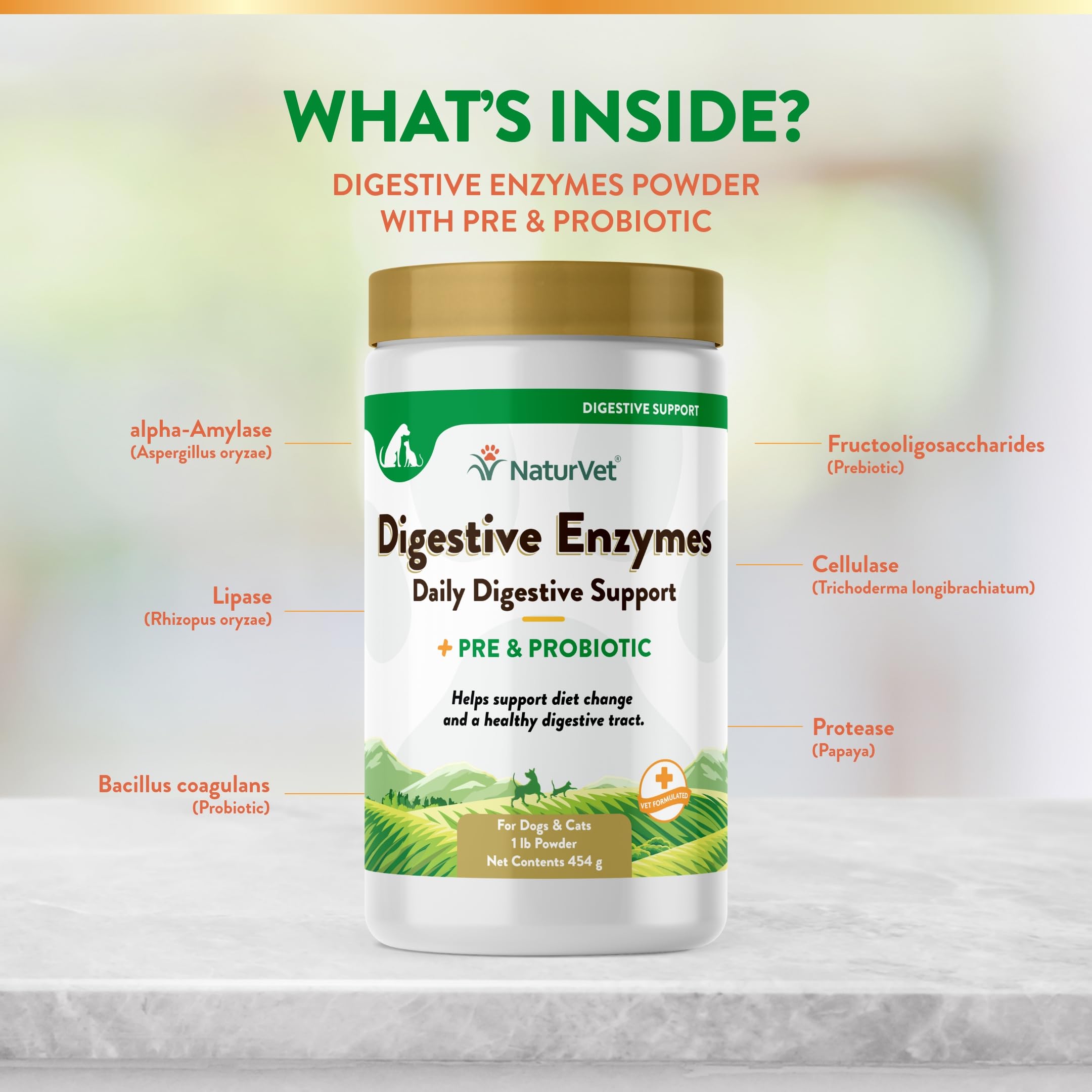 Probióticos y prebióticos para equilibrio de la flora intestinal.