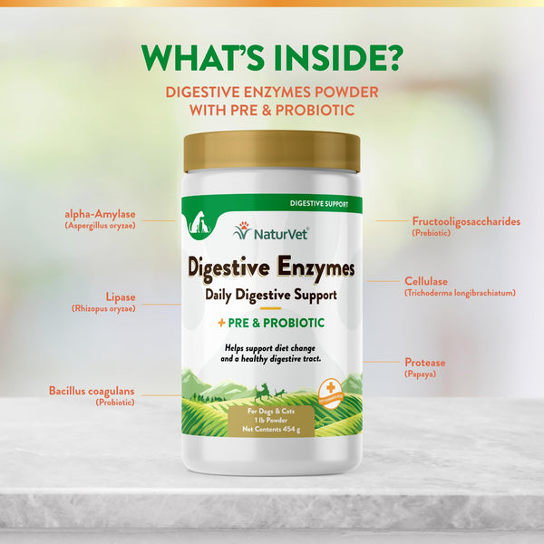 Probióticos y prebióticos para equilibrio de la flora intestinal.