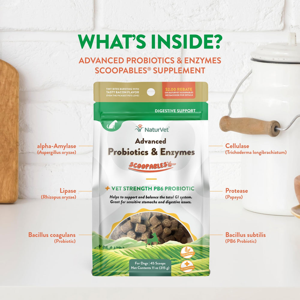 NaturVet Scoopables Bacillus coagulans para equilibrio intestinal diario