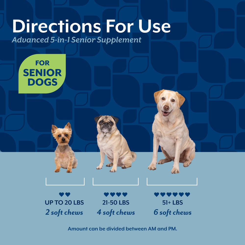 NaturVet Senior Advanced 5-en-1: imagen de cardo mariano y luteína para apoyo nutricional.