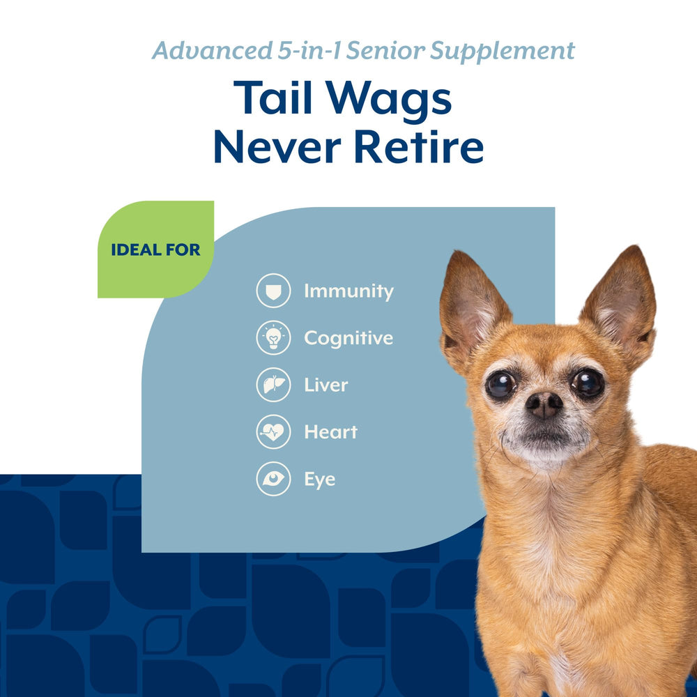NaturVet Senior Advanced 5-en-1: ingredientes como ginkgo biloba para apoyo general.