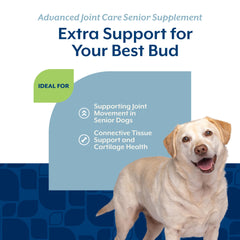 NaturVet Senior uso diario para perros activos.