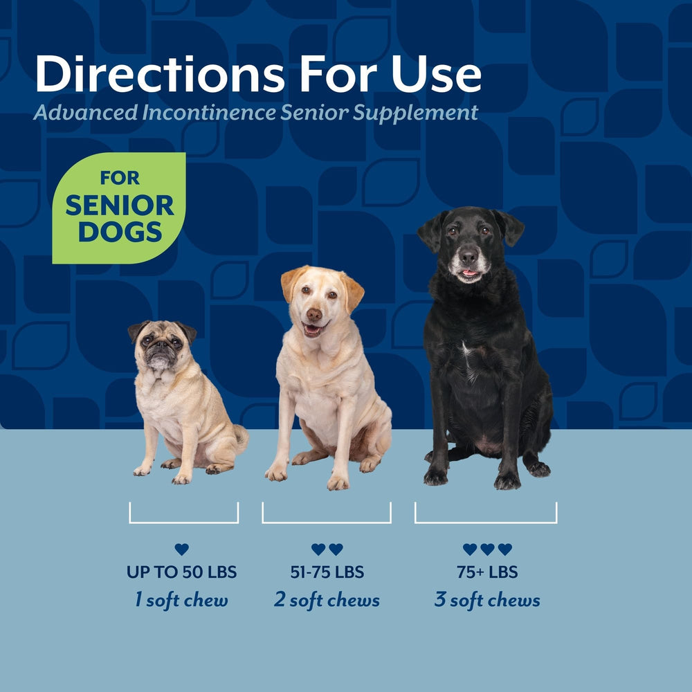 NaturVet Senior Uso Diario Perros Mayores: apoyo continuo para salud urinaria