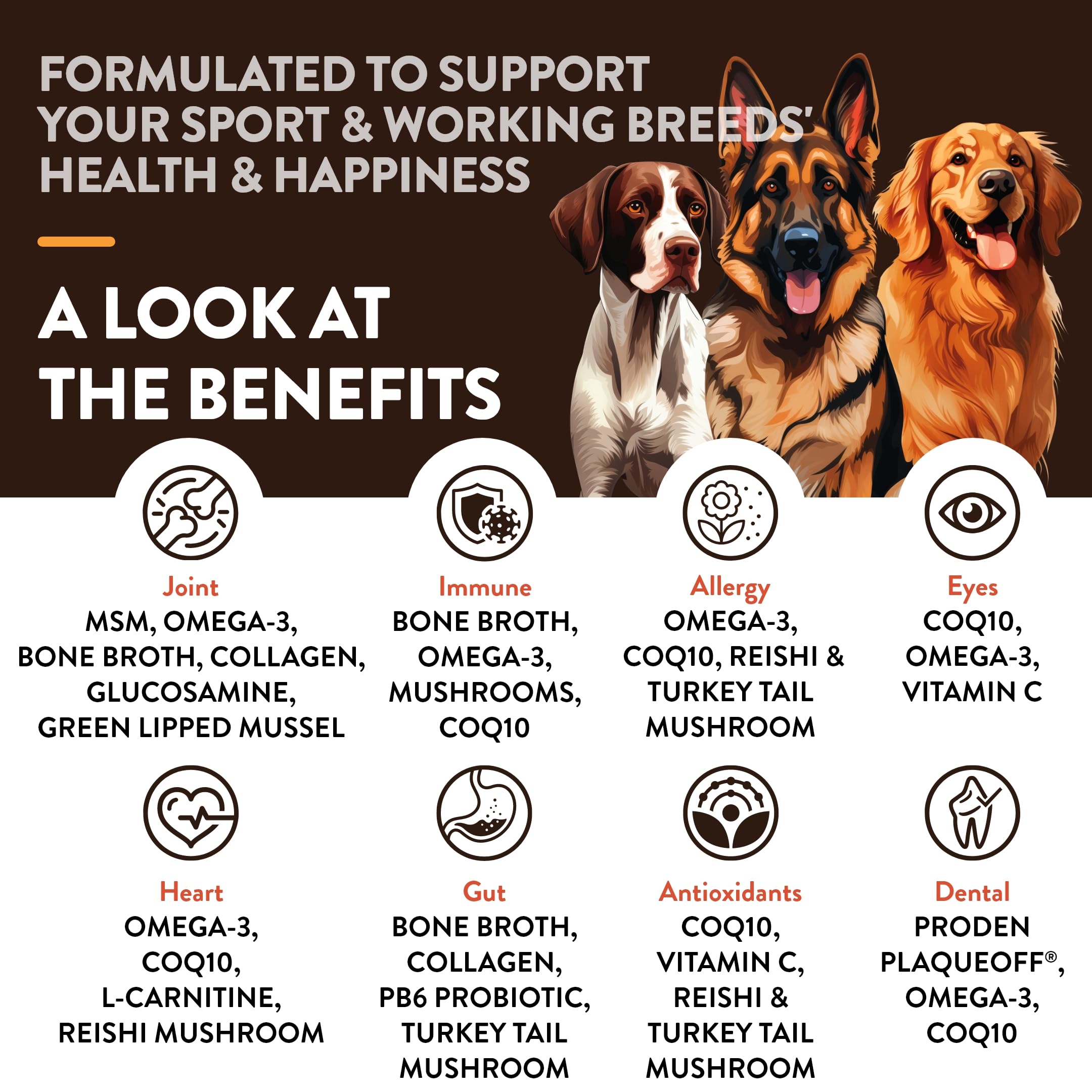 NaturVet Sport Breed: digestión saludable con caldo de huesos y probióticos.