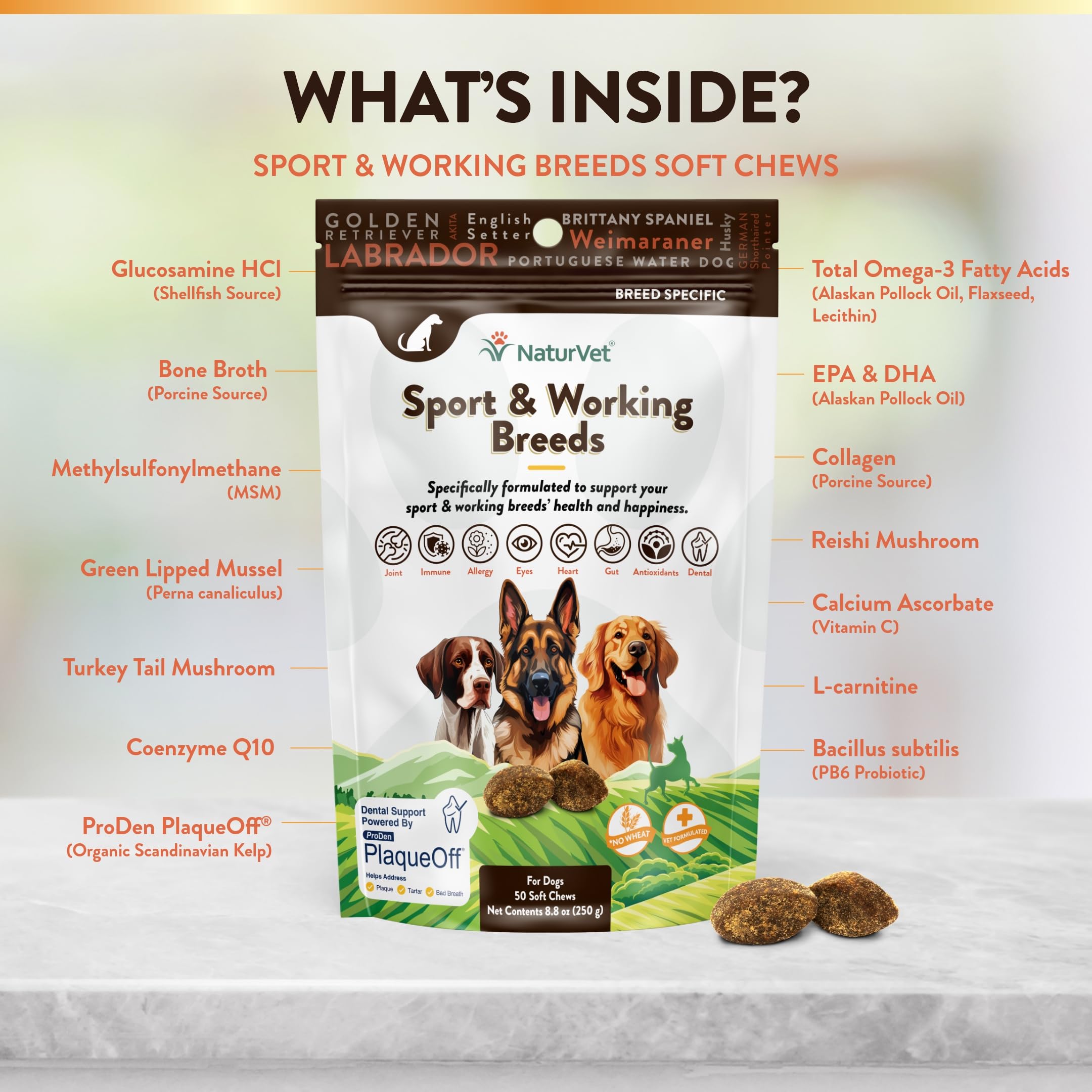 NaturVet Sport Breed: piel y pelaje más sanos gracias a una nutrición completa.