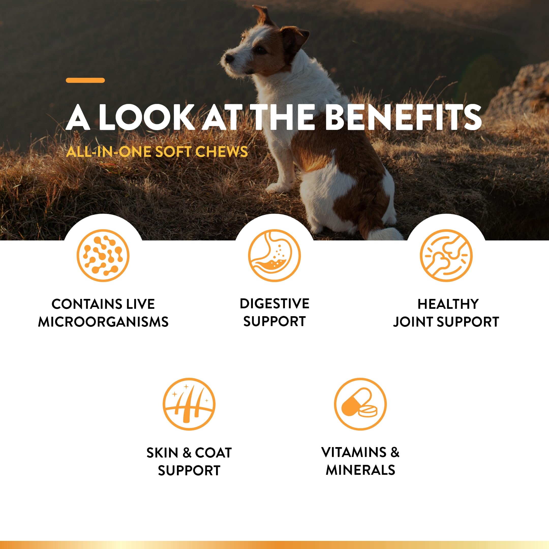 NaturVet All-in-One omega 3-6-9 para piel y pelaje