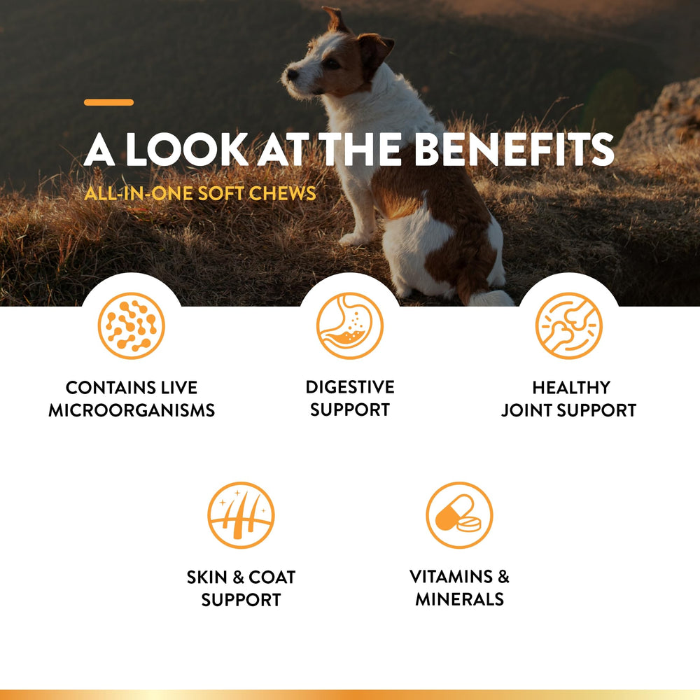 NaturVet All-in-One omega 3-6-9 para piel y pelaje