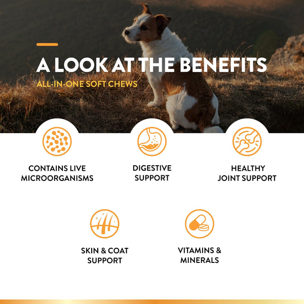 NaturVet All-in-One omega 3-6-9 para piel y pelaje