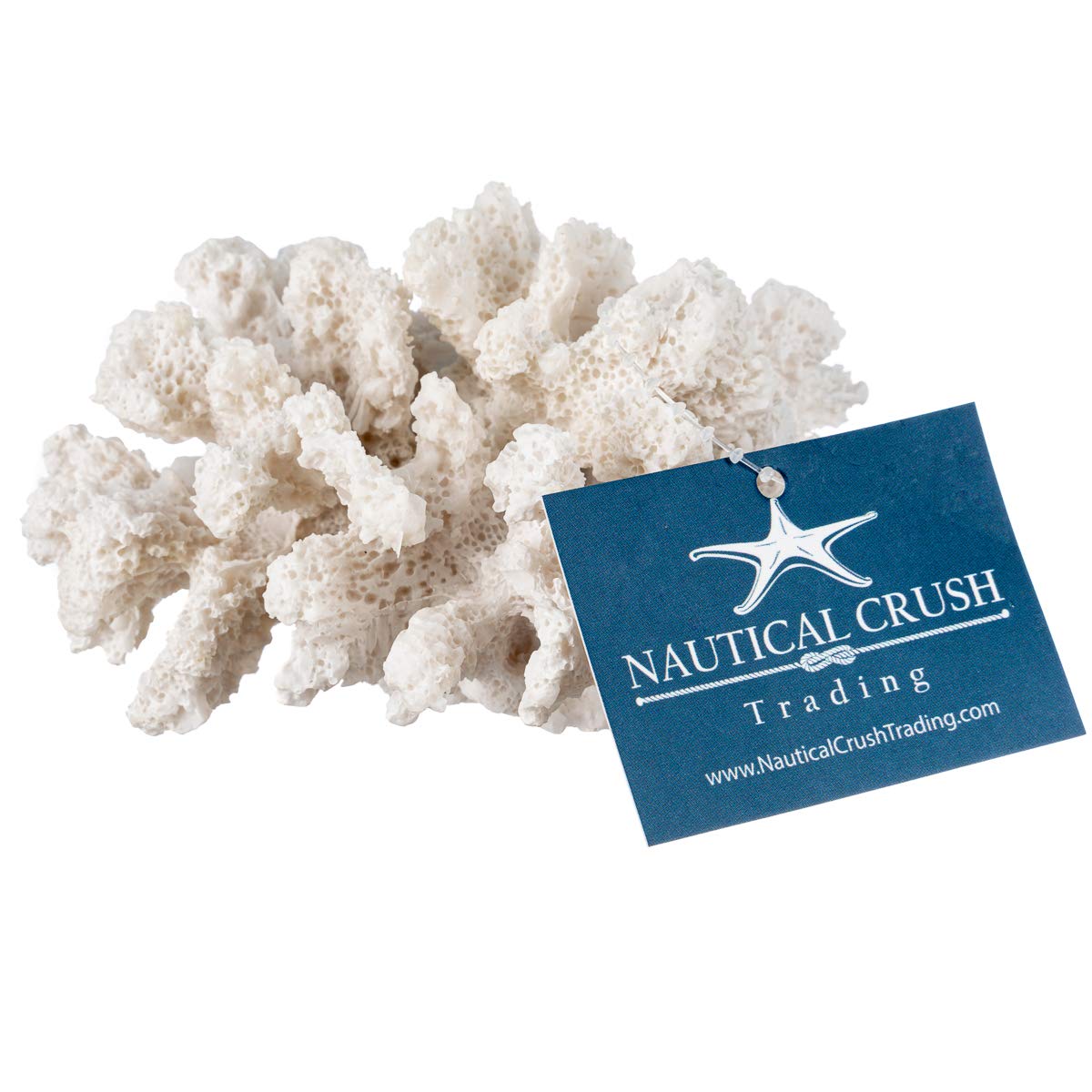Nautical Crush Trading coral blanco, acento decorativo para rincones costeros.