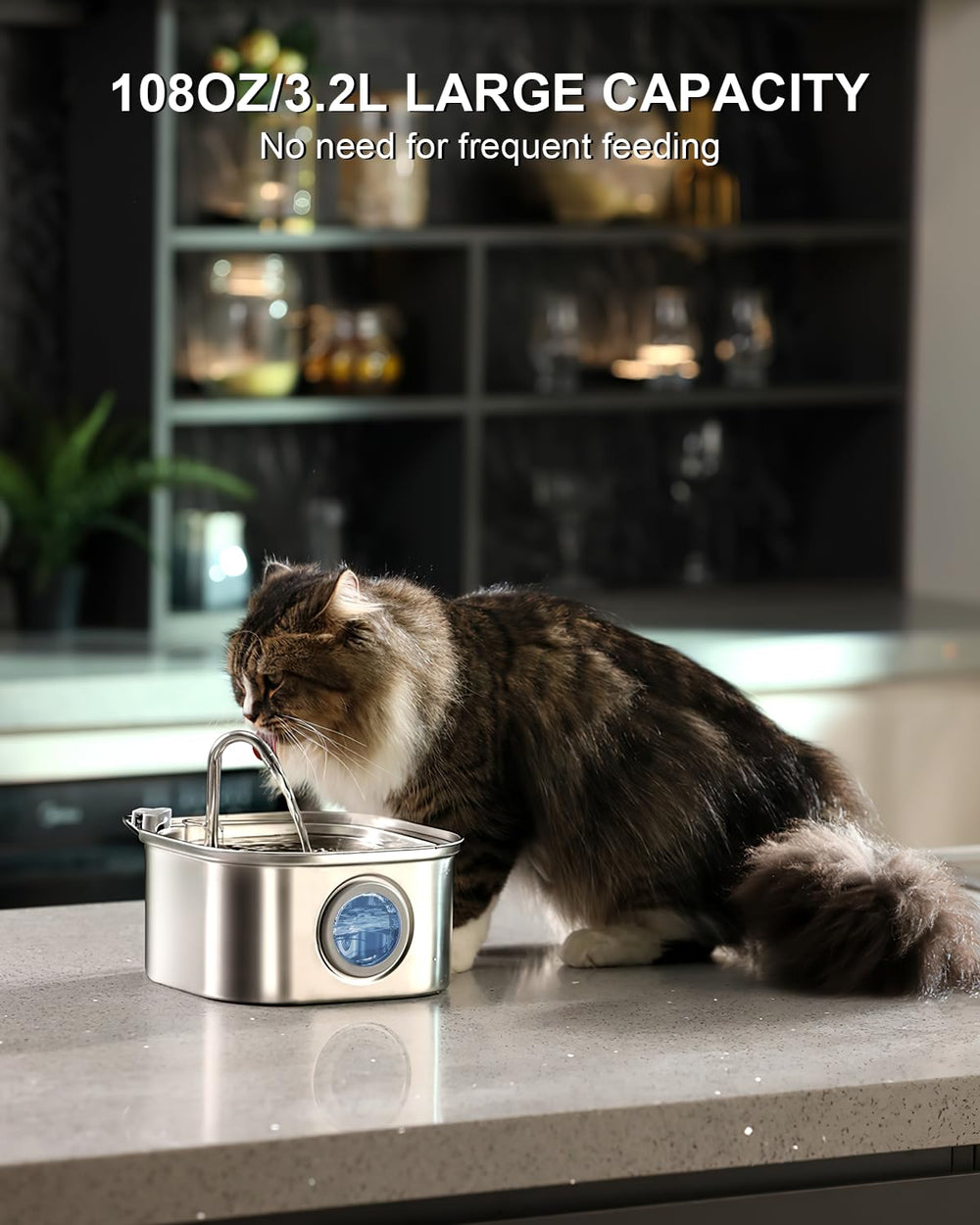 NautyPaws bomba ultra silenciosa mantiene el ambiente tranquilo.