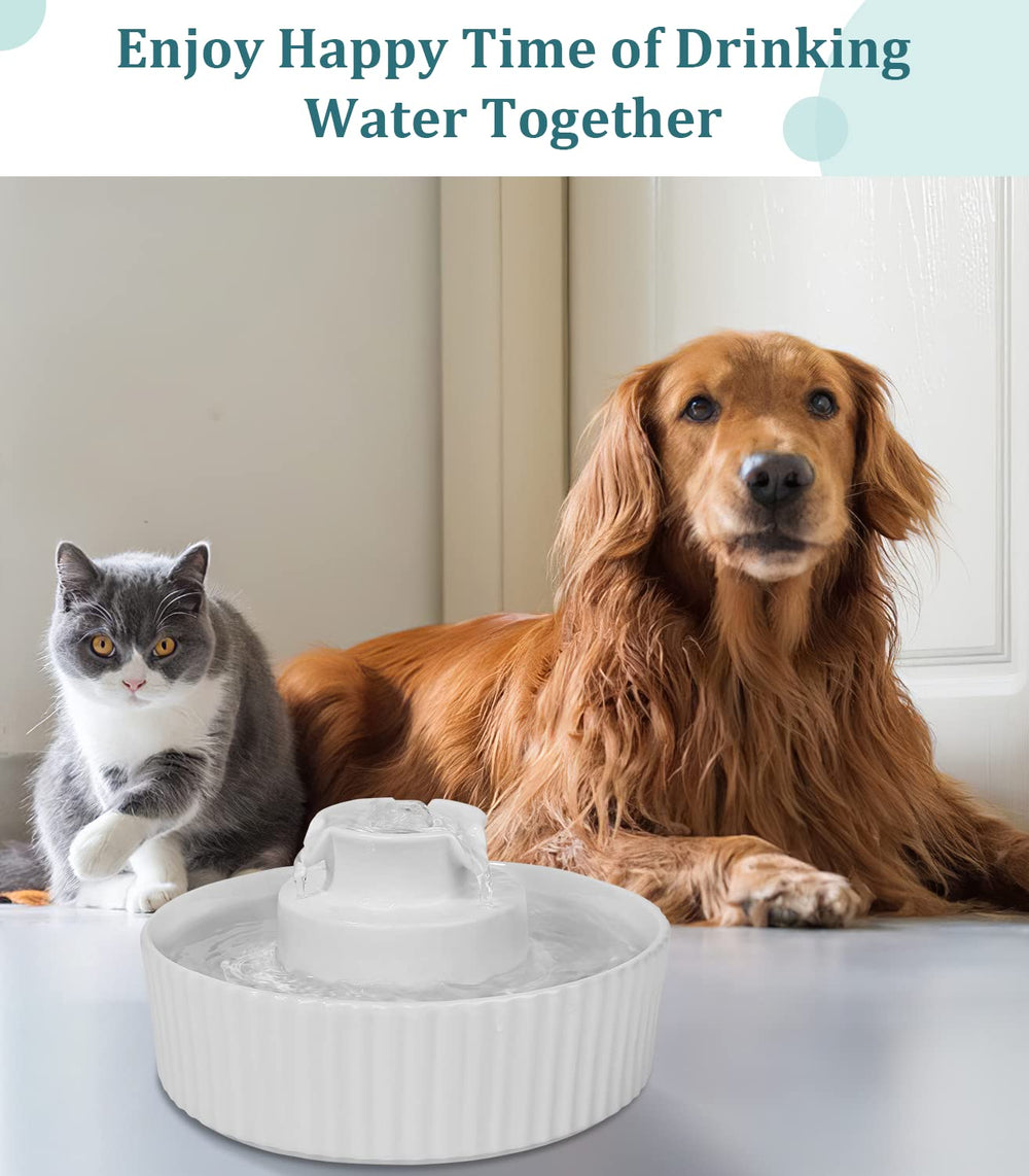 NautyPaws fuente 2.1 L, ideal para hogares con gatos y perros
