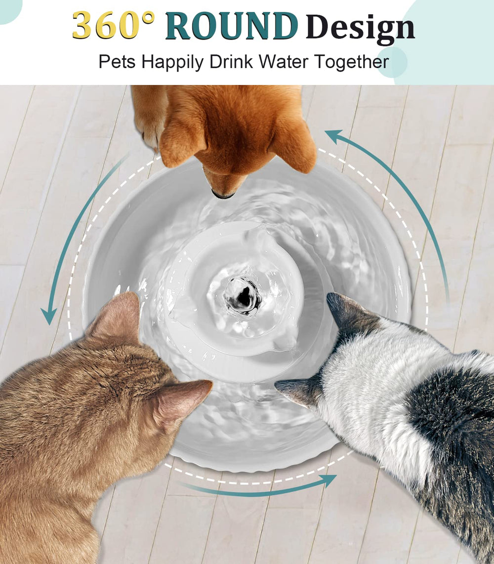 NautyPaws diseño cerámico, limpieza rápida y segura