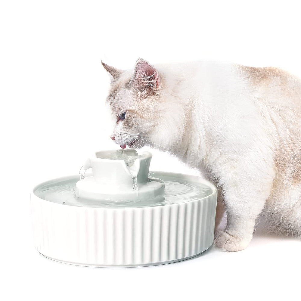 NautyPaws fuente cerámica para gatos con flujo estable que invita a beber