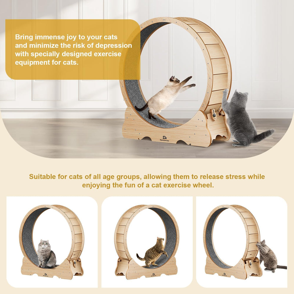 naviconvex gato rueda 48p en accion para gatos activos