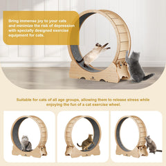 naviconvex gato rueda 48p en accion para gatos activos