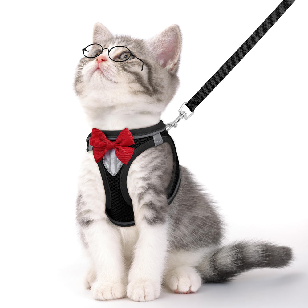 Arnés NCMAMA para gato con correa y cinta reflectante para mayor visibilidad.