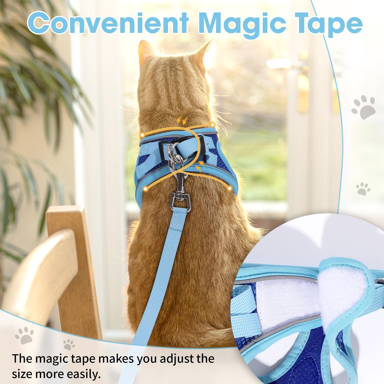Conjunto de paseo diario para gato con seguridad y comodidad.