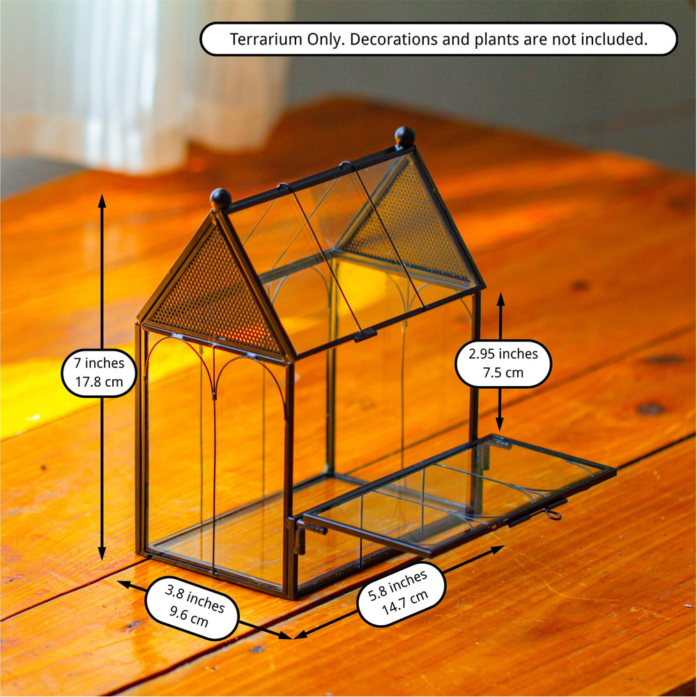NCYP terrario ideal para aranas pequenas y otros insectos en espacios domesticos.