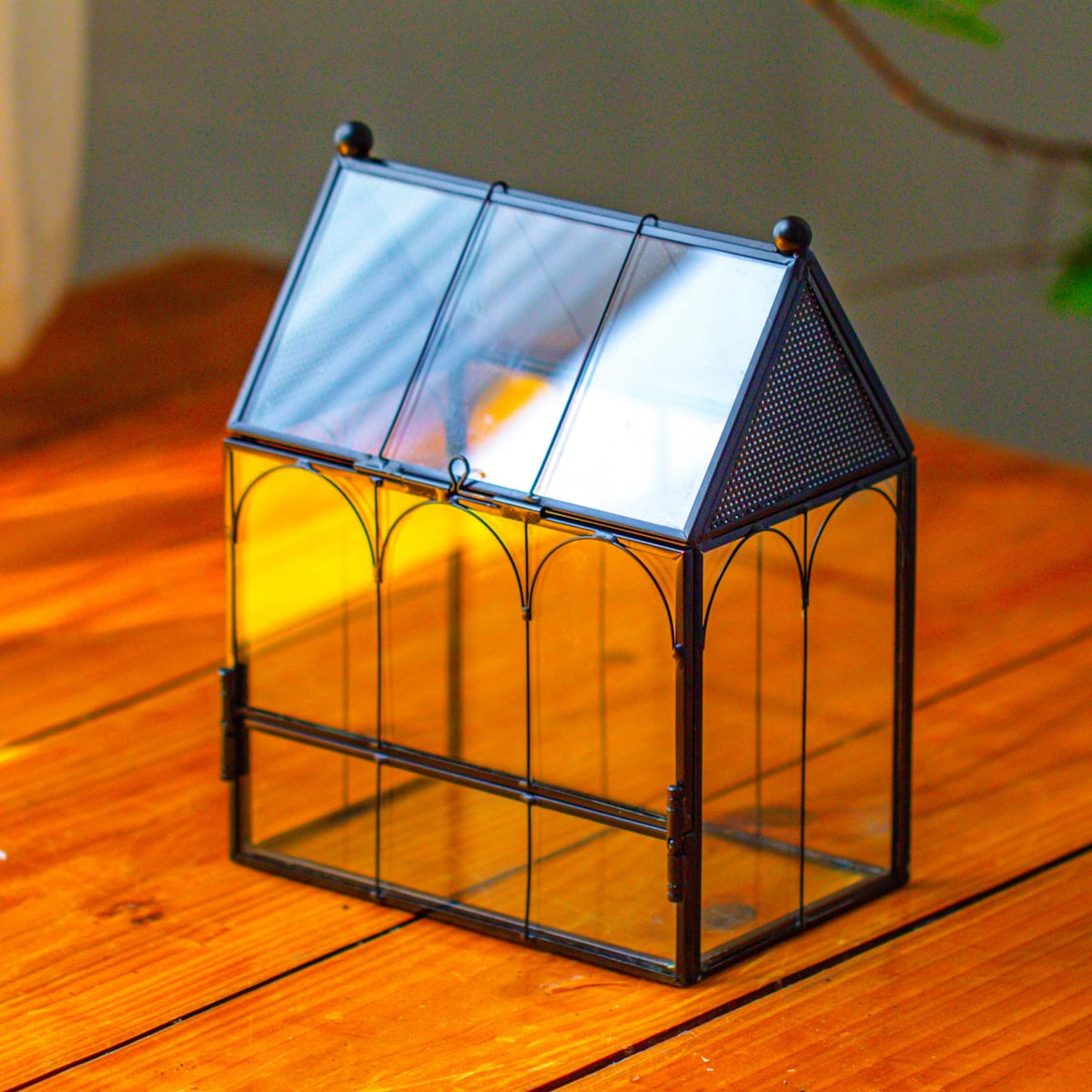 NCYP terrario mini casa de vidrio con malla mejora la ventilación para mascotas pequeñas.