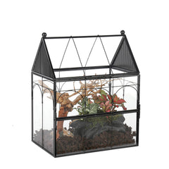 NCYP terrario de vidrio: vista frontal con puerta, ideal para observar insectos.