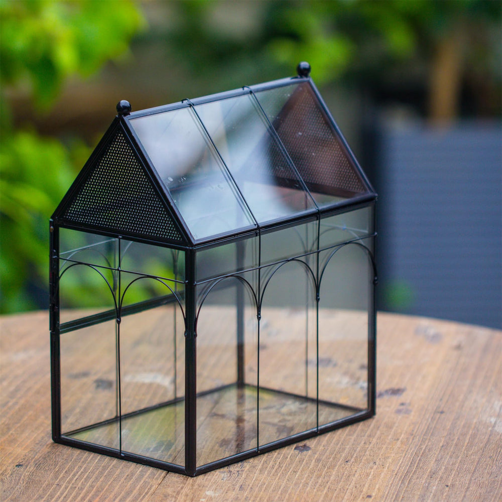 NCYP terrario de vidrio de 19x12.5x23 cm para escritorio.