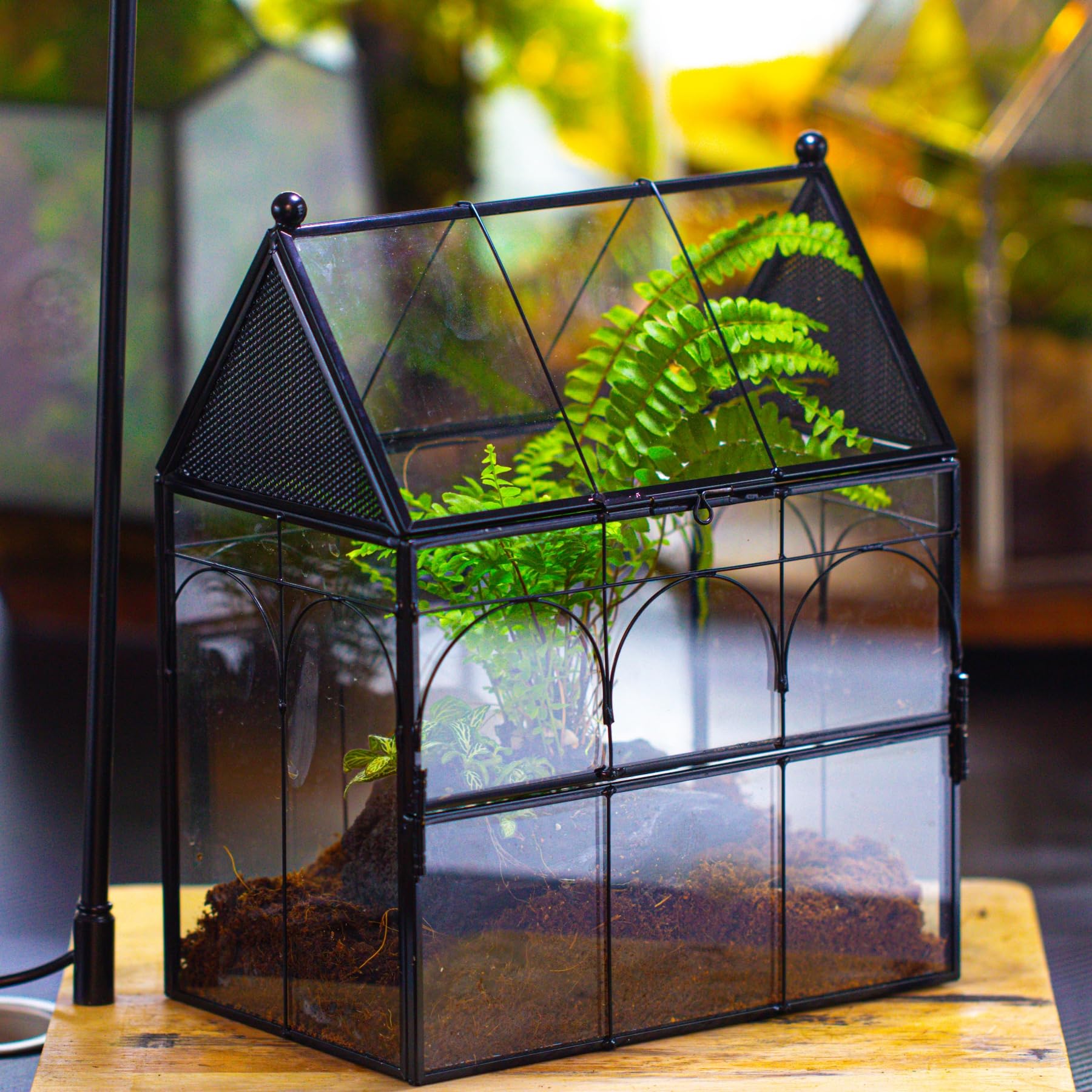 NCYP terrario con ventilación de malla triangular para flujo de aire.