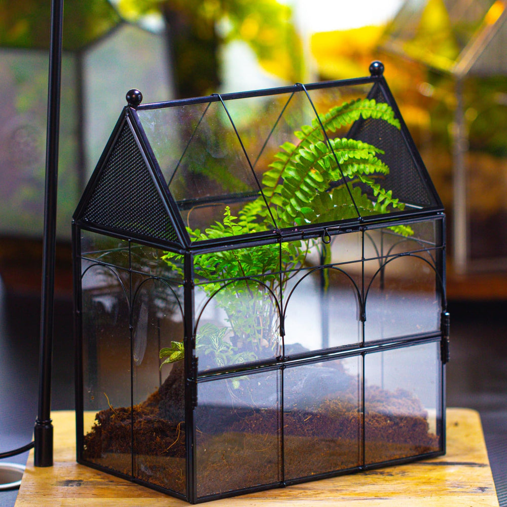 NCYP terrario con ventilación de malla triangular para flujo de aire.