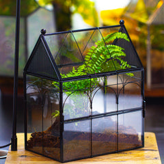 NCYP terrario con ventilación de malla triangular para flujo de aire.