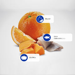 N&D Ocean Arenque con Calabaza y Naranja: ingredientes selectos para una dieta equilibrada.