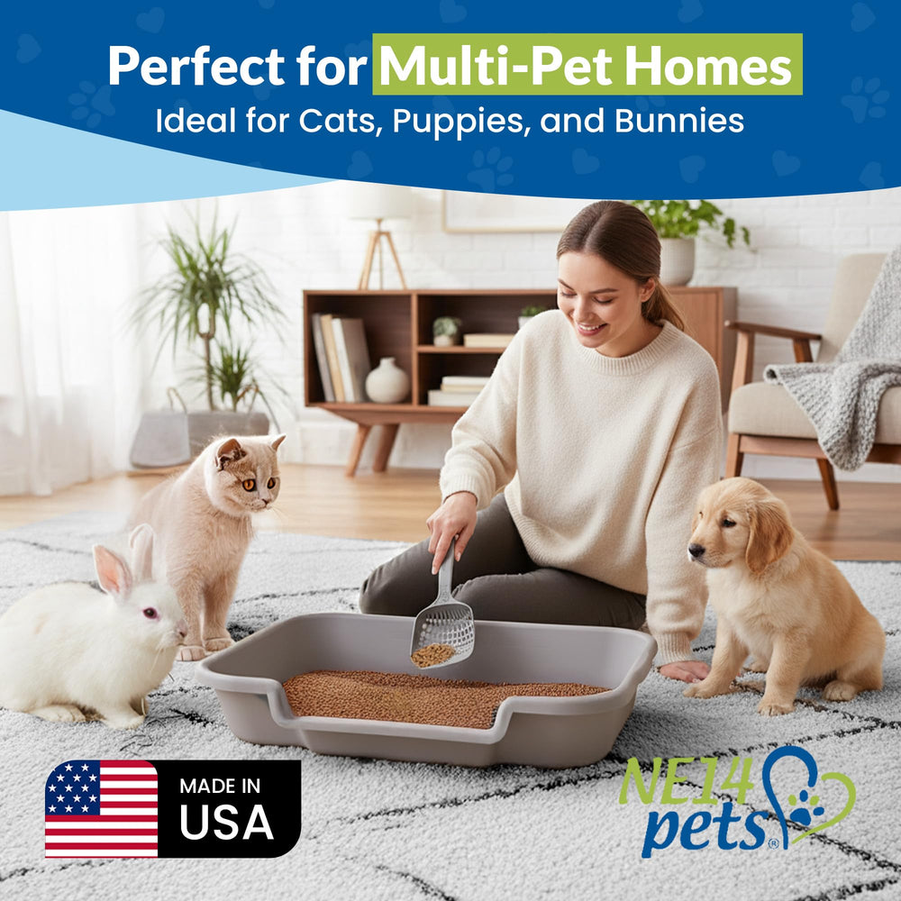 NE14pets KittyGoHere, interior espacioso permite una postura cómoda dentro de la caja.