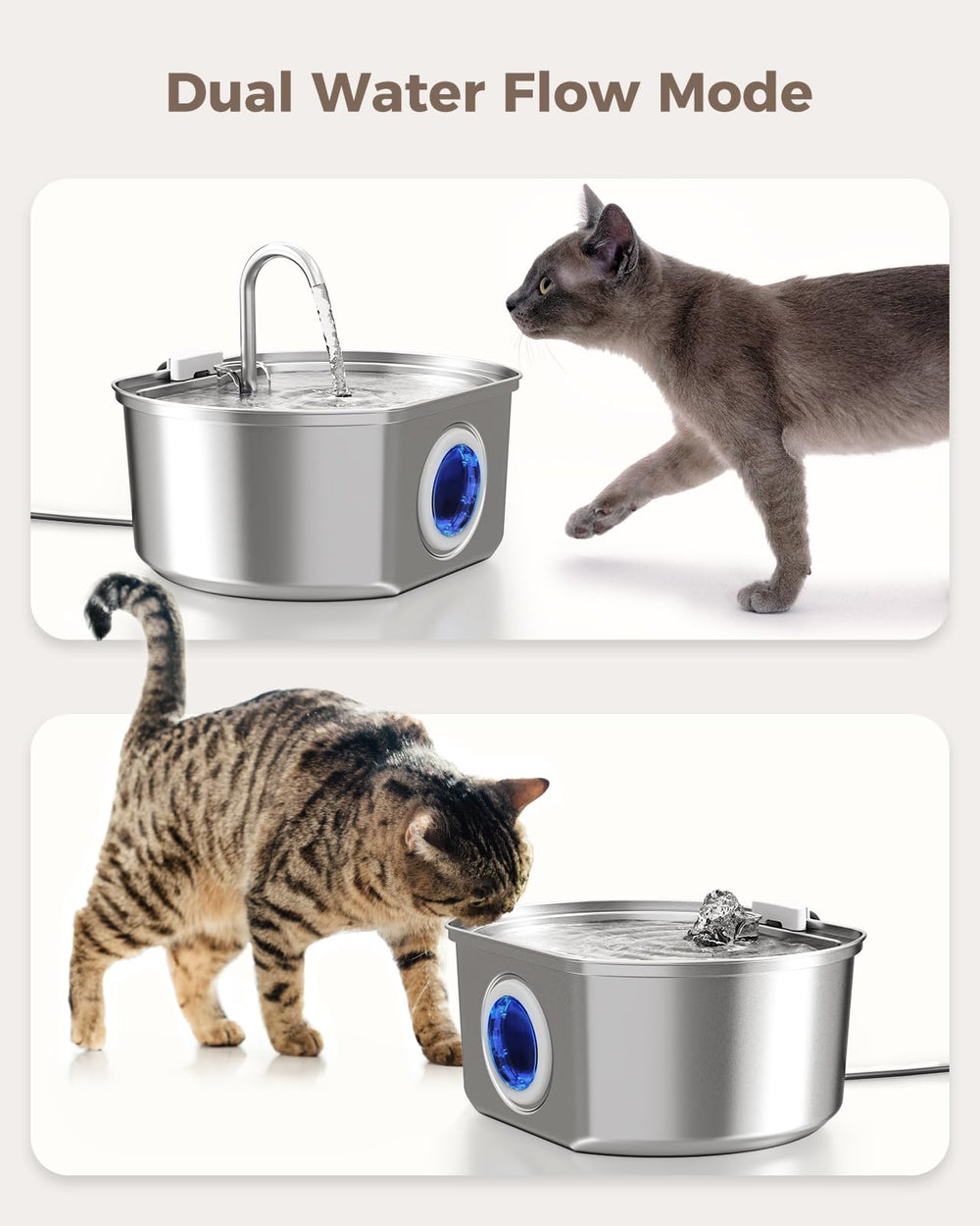 Neareal bebedero gatos con flujo atractivo que invita a beber