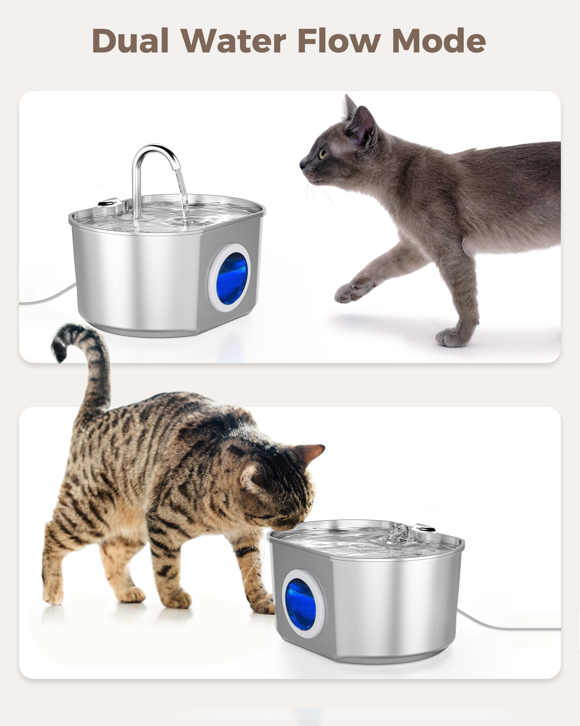 Neareal diseño de flujo atrae a las mascotas para beber.