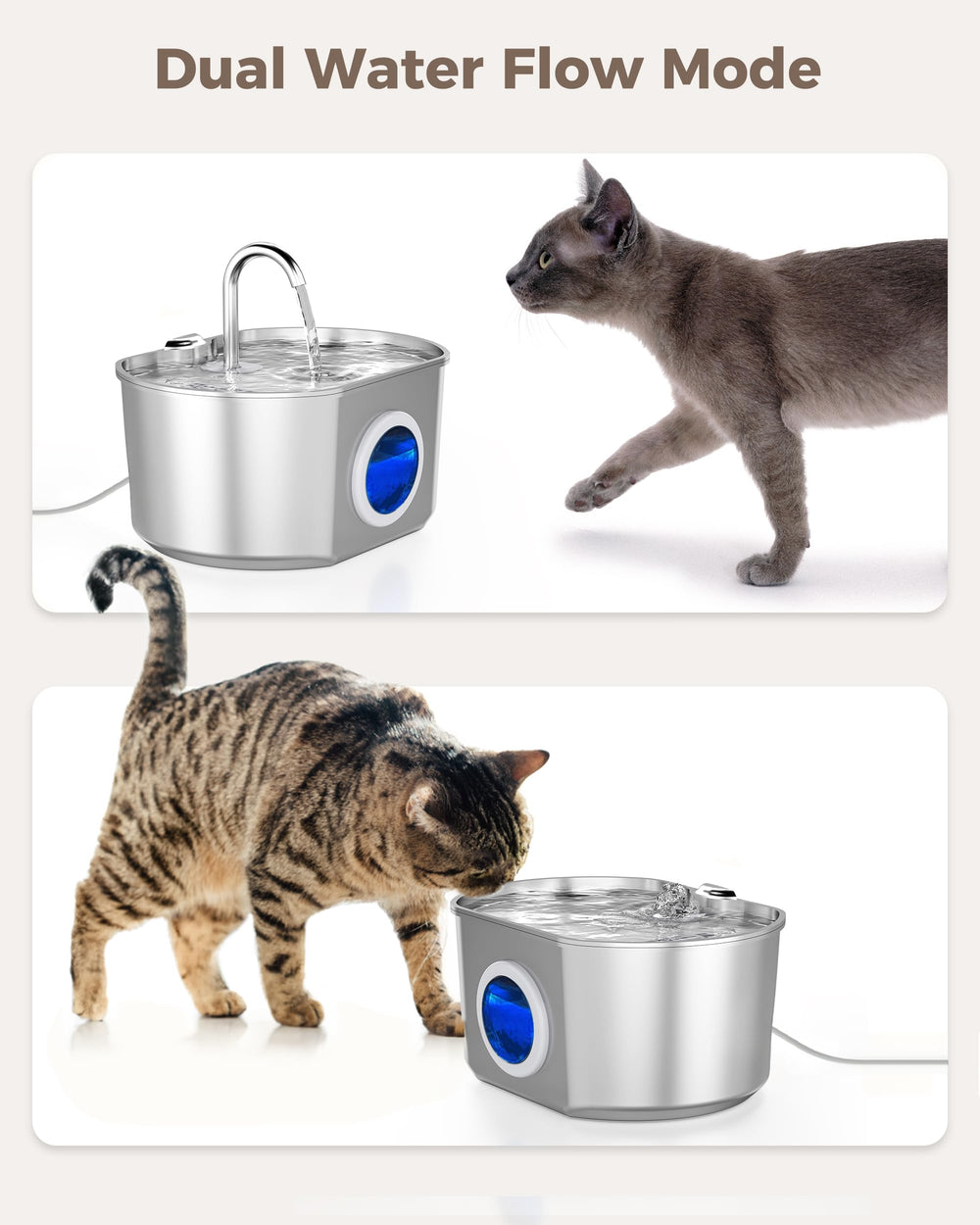 Neareal diseño de flujo atrae a las mascotas para beber.