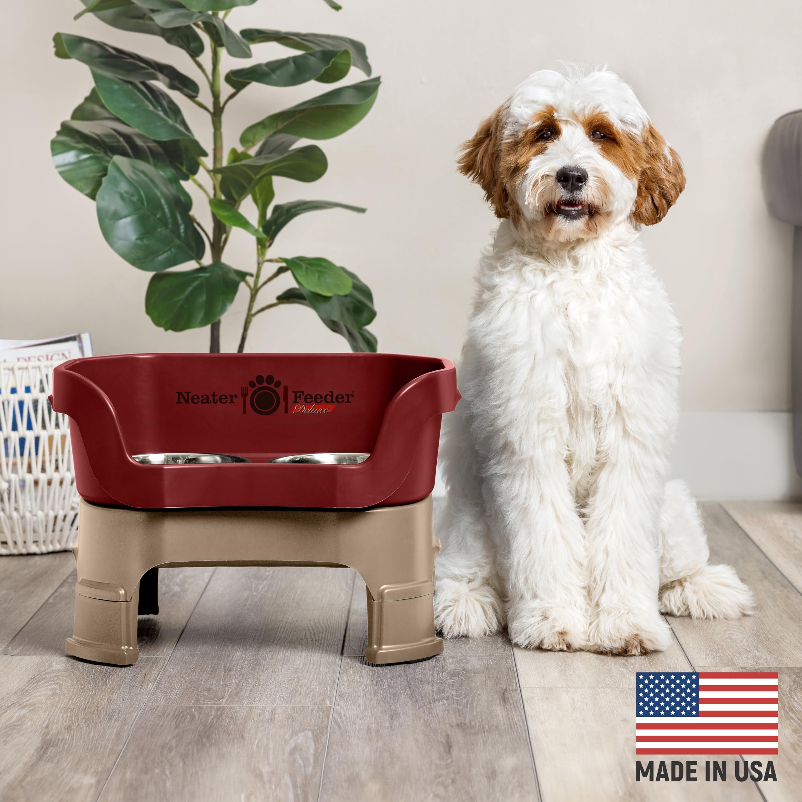 Neater Feeder Deluxe: tazón de agua de acero inoxidable para perros medianos, derrames reducidos.