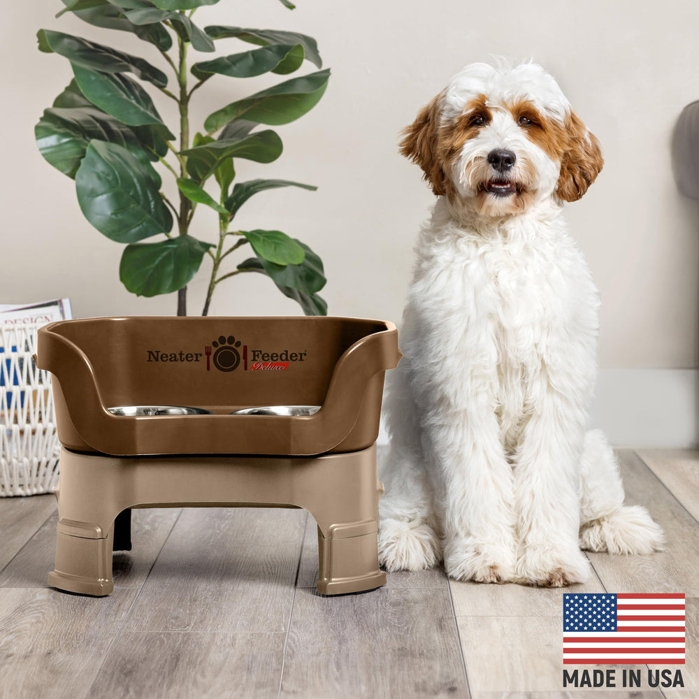 Neater Feeder Deluxe, tazón alzado para perros medianos, postura cómoda al comer.