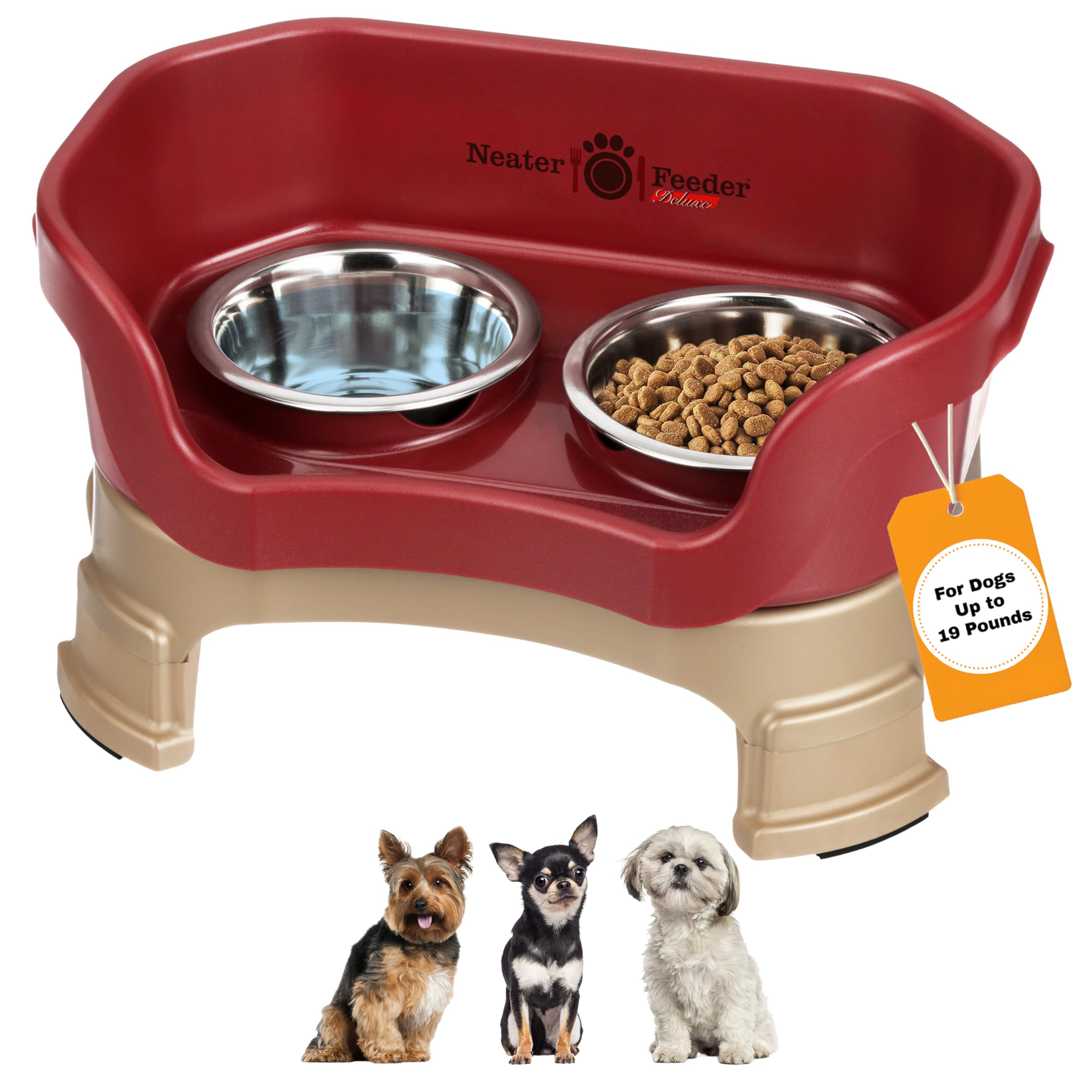 Neater Feeder Deluxe con tazones alta para perros pequeños, mejora la postura al comer.