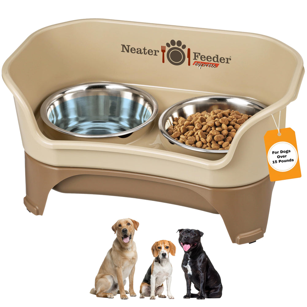 Neater Feeder Express presenta un bebedero alzado para perros, mejora la postura al comer.