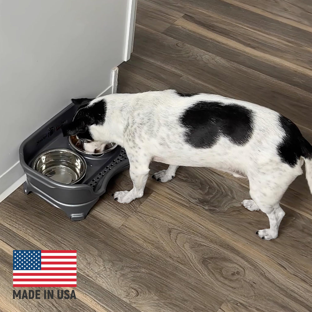 Neater Feeder Express: apto para perros pequeños.
