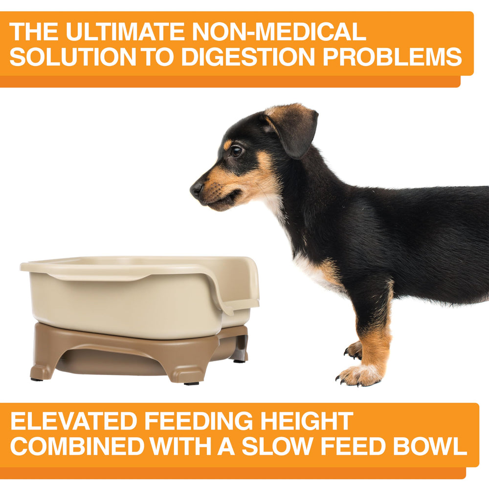 Neater Feeder Express: patas antideslizantes que previenen movimientos