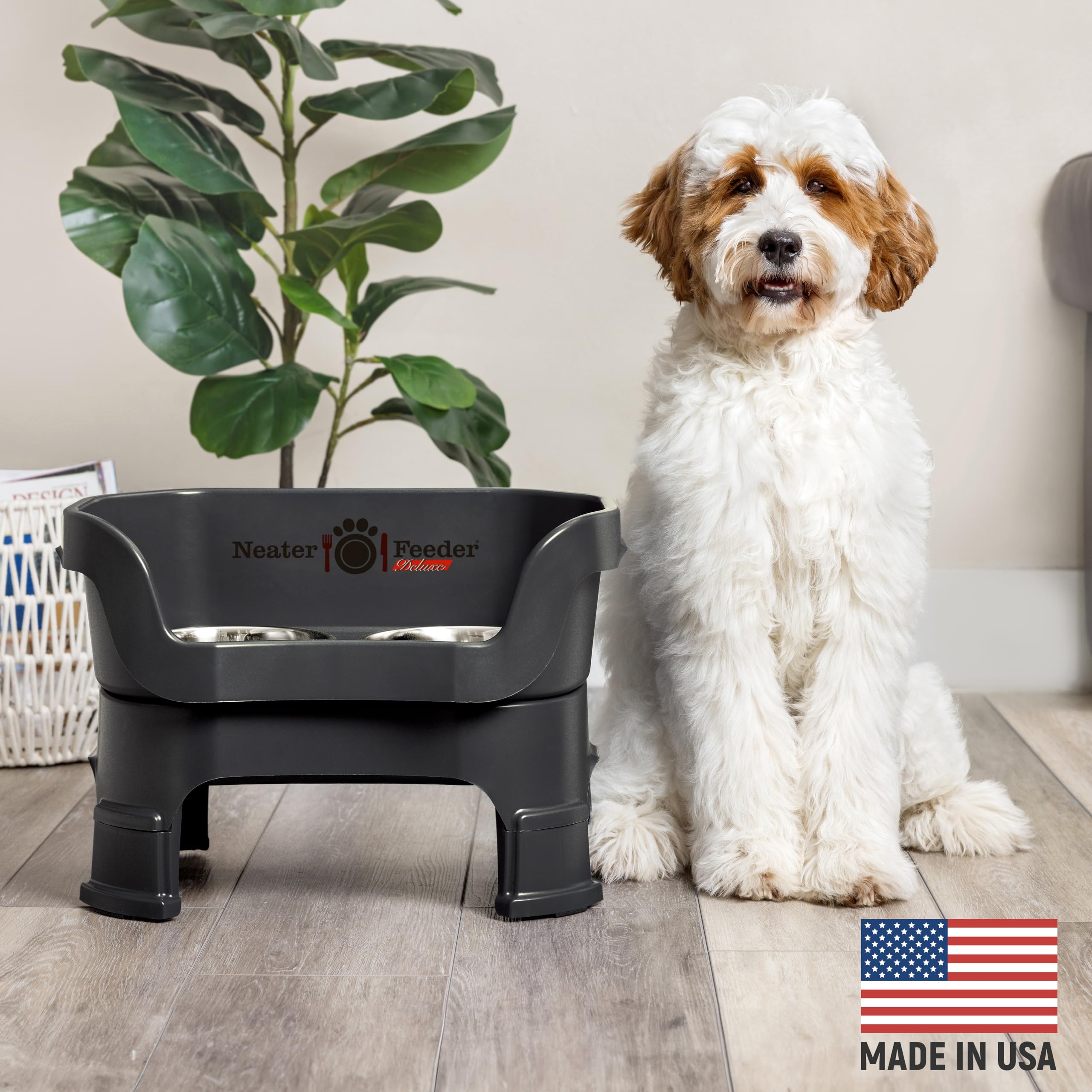 Neater Feeder: tazones elevados para perros medianos, postura cómoda al comer