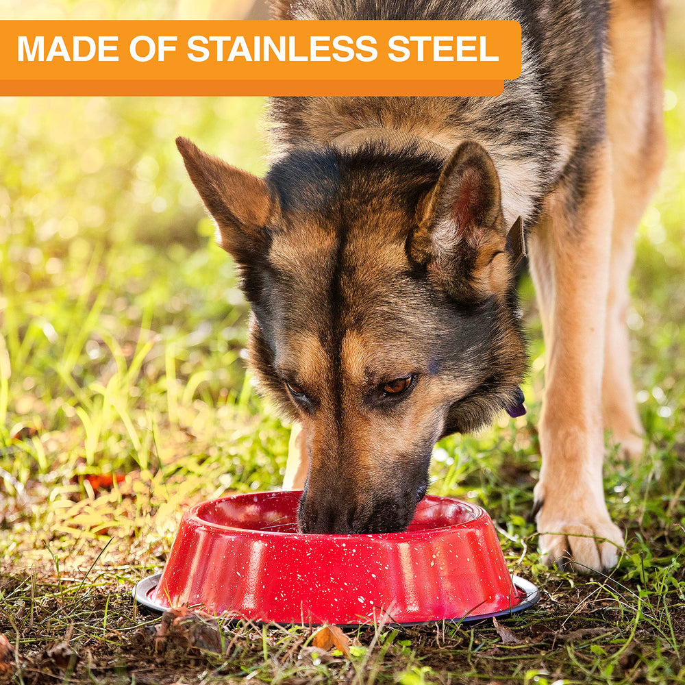 Neater Pet Brands base antideslizante para tazon, evita deslizamientos durante la comida.