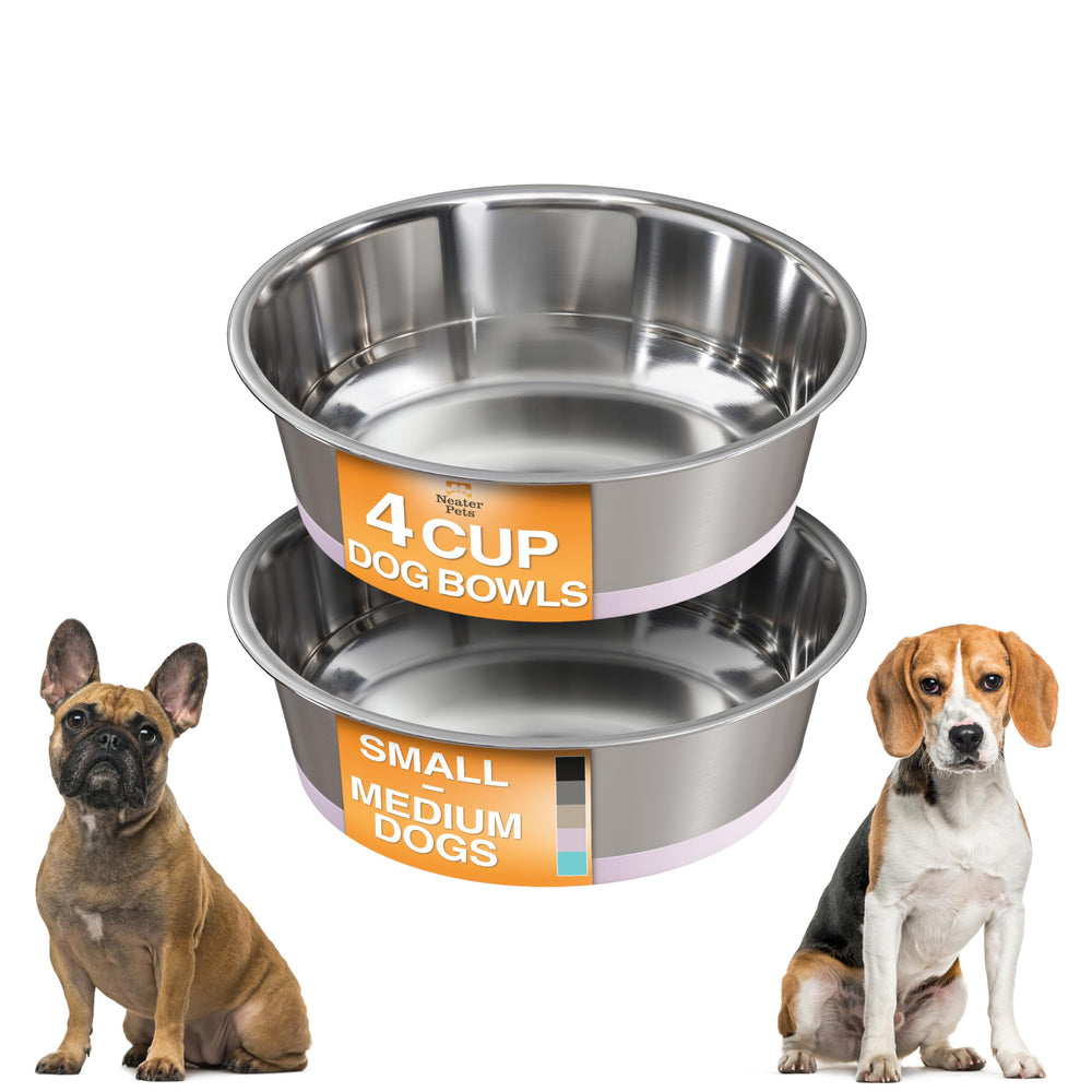 Neater Pet Brands cuenco con base antideslizante para comer sin movimientos.