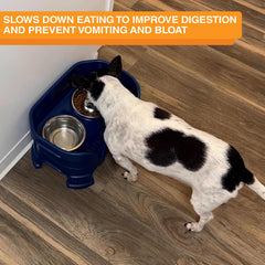 Bol lento ofrece enriquecimiento mental al comer.
