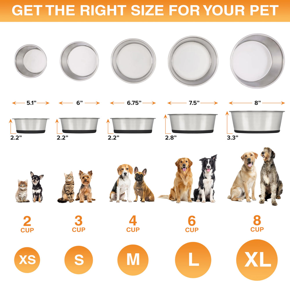 Neater Pet Brands: borde extra grueso en acero para mayor durabilidad durante la hora de comida.