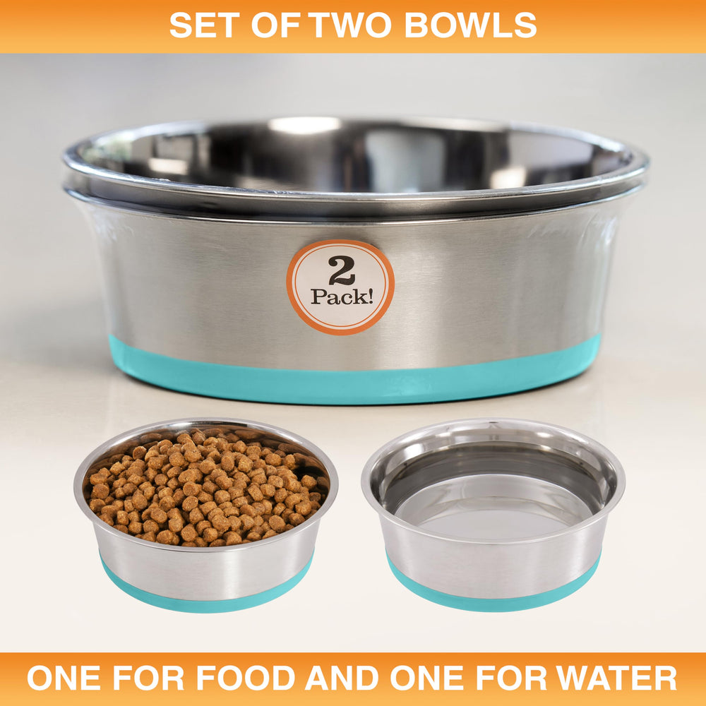 Acabado pulido de cuenco Neater Pet Brands en azul verdoso para uso diario